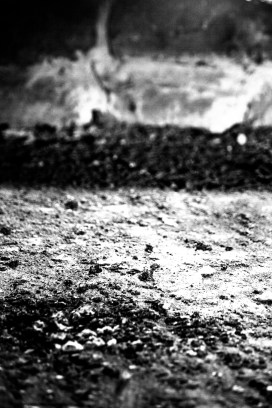 022 barn expressions edition022